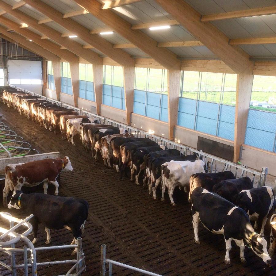 Апартаменты Ruyge Weyde Logies, Eco Farm Oudewater Экстерьер фото