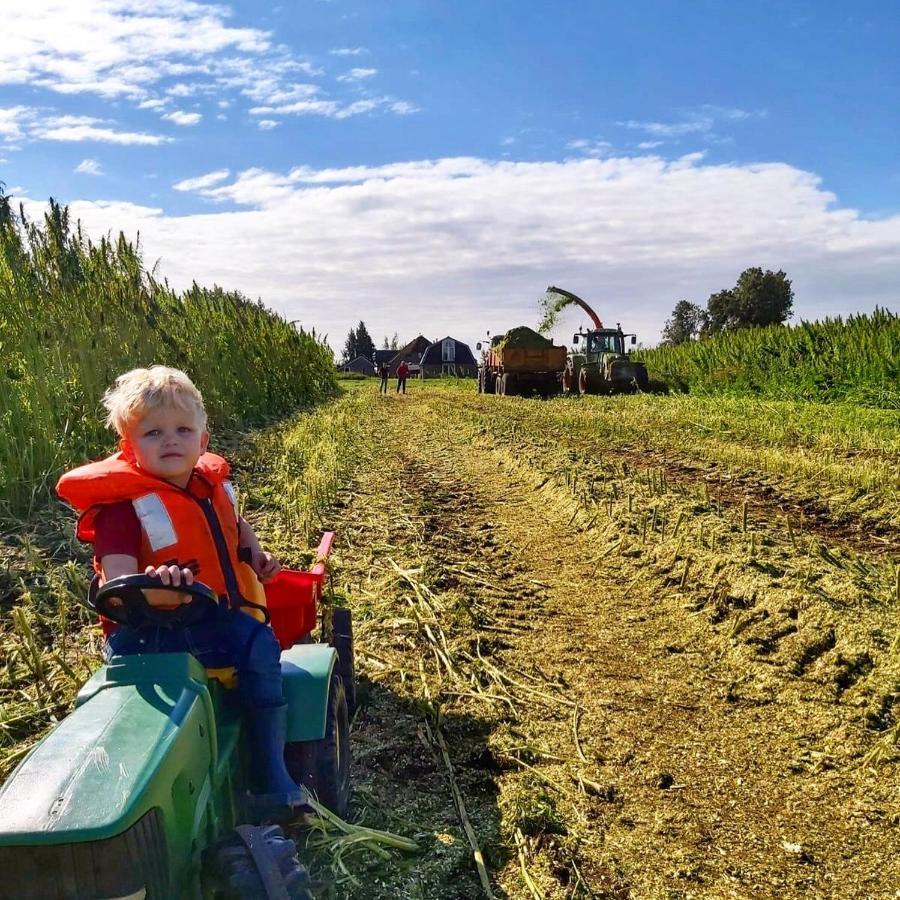 Апартаменты Ruyge Weyde Logies, Eco Farm Oudewater Экстерьер фото