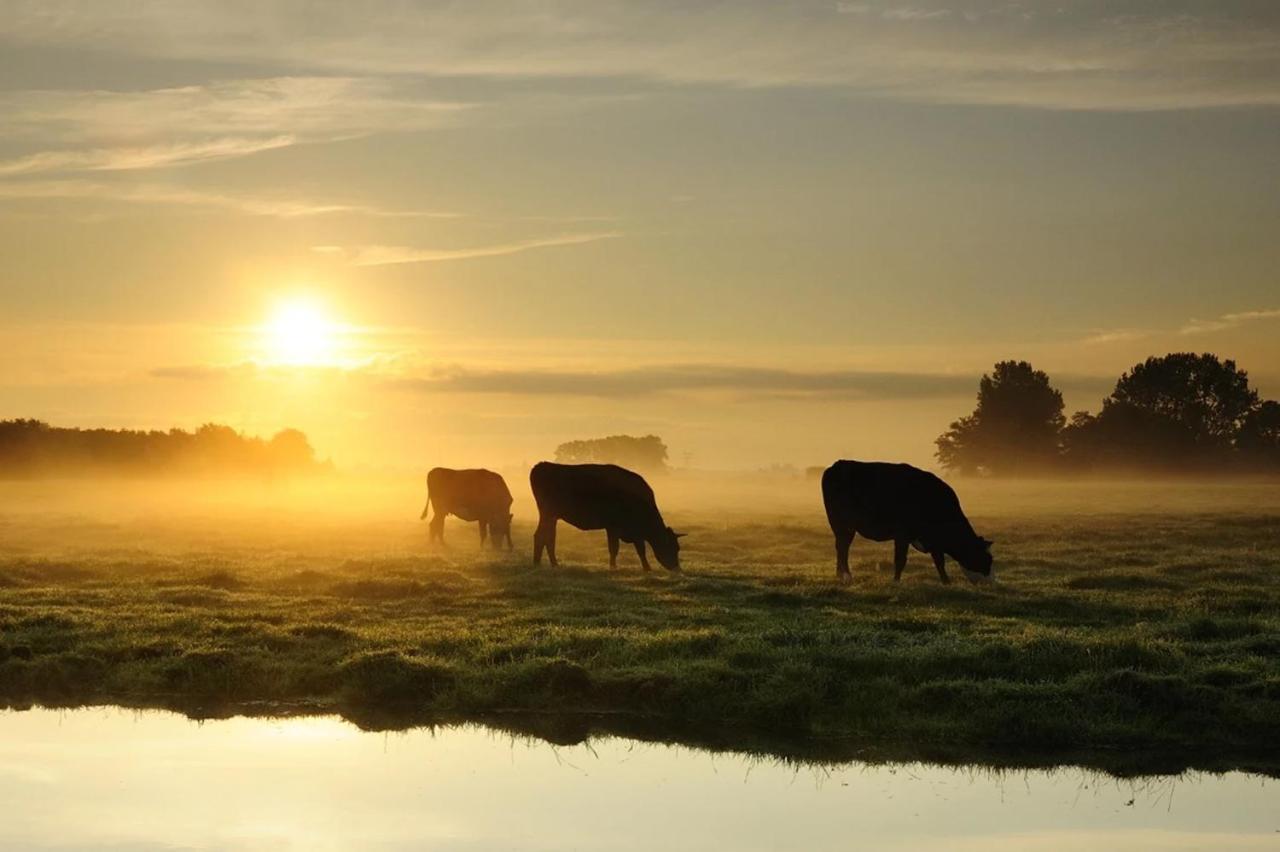 Апартаменты Ruyge Weyde Logies, Eco Farm Oudewater Экстерьер фото